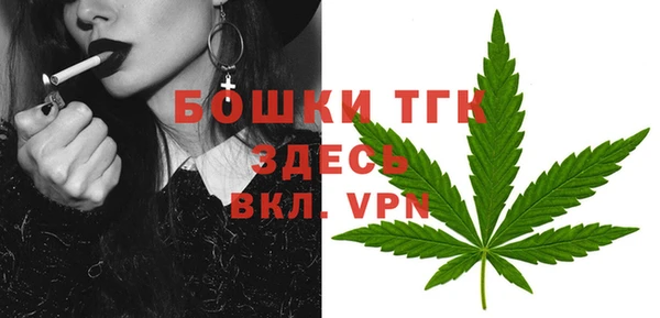 PSILOCYBIN Белокуриха