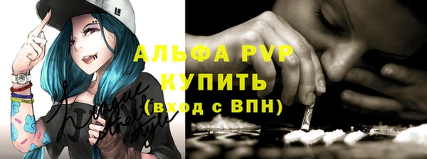 прущие грибы Беломорск