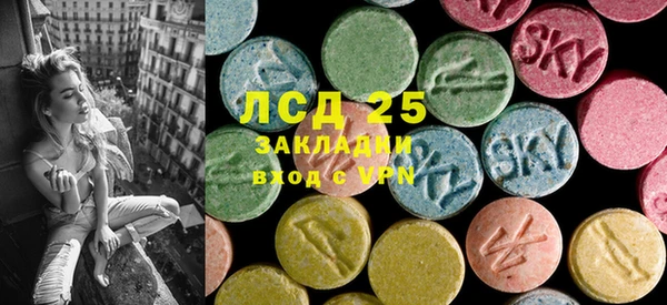 PSILOCYBIN Белокуриха