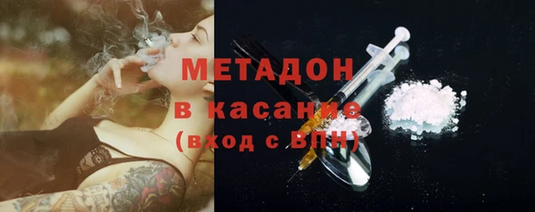 прущие грибы Беломорск