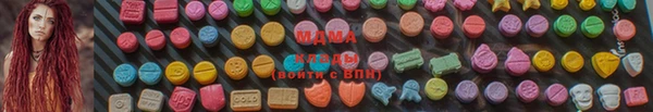 прущие грибы Беломорск