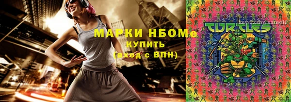 прущие грибы Беломорск