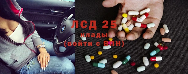 прущие грибы Беломорск