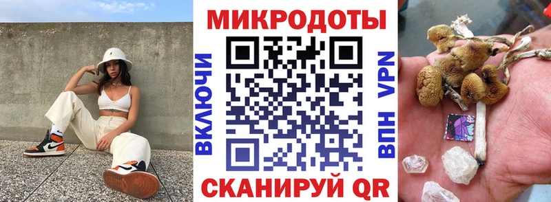 Псилоцибиновые грибы прущие грибы Бузулук
